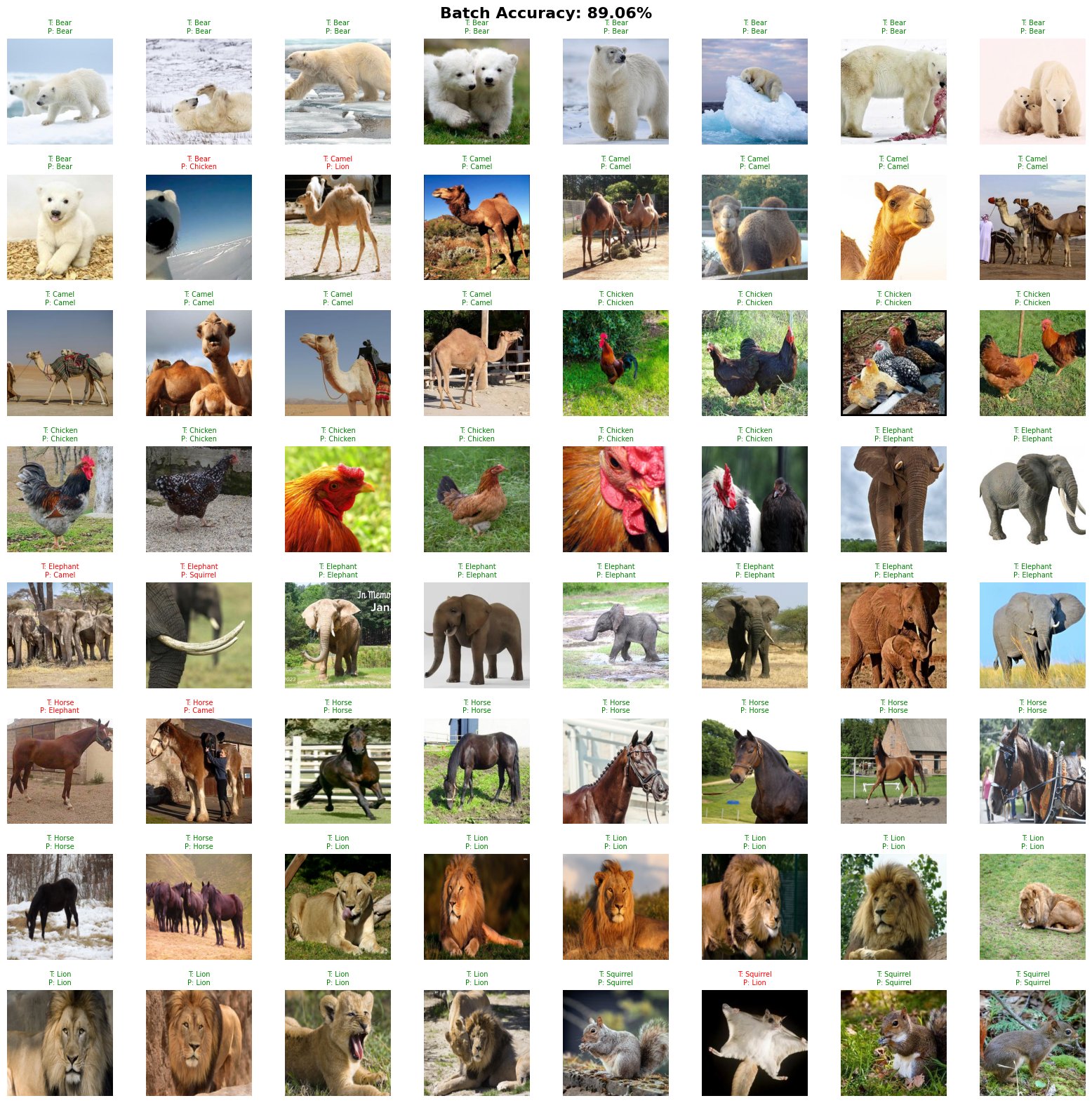 Animal classification predictions