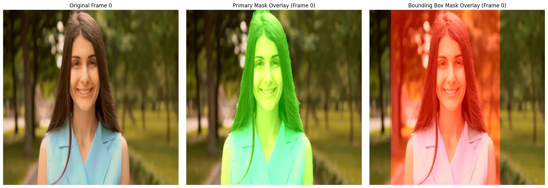 Mask overlay comparison